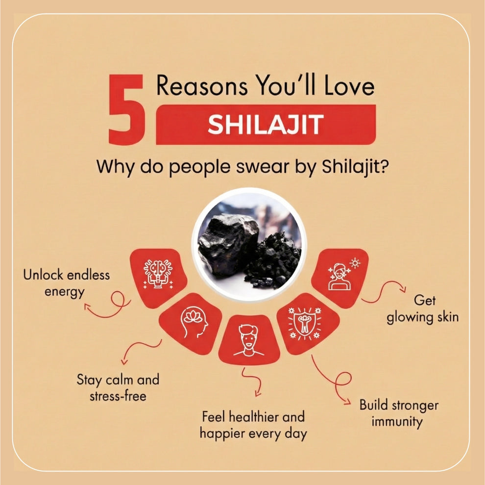 Pure Himalayan Shilajit Resin | Natural Strength & Vitality – Dr. Bhangu Ayurveda