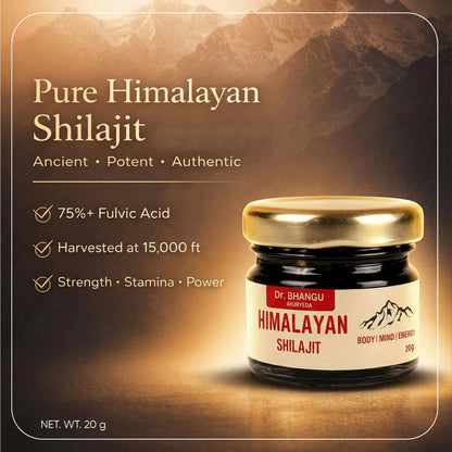 Pure Himalayan Shilajit Resin | Natural Strength & Vitality – Dr. Bhangu Ayurveda
